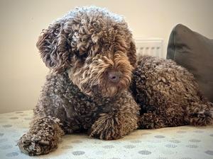 Wilma October 2019