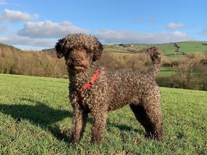 Wilma January 2020