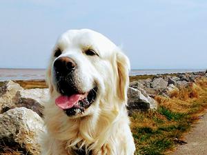 Enjoying his sea walk