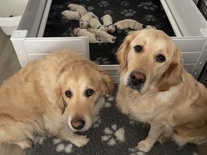 Proud Mum and Grandma