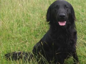 summer training 2019