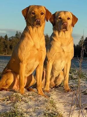 Sam and Bruce