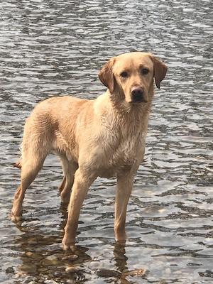 In the Tay
