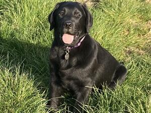 Lottie at 5 months