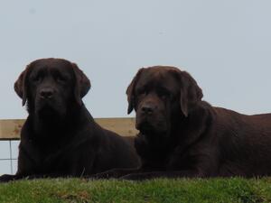 Abby with mum Holly