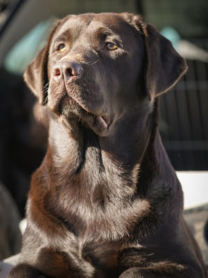 Max at 13 months