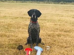 Nika with agility wins