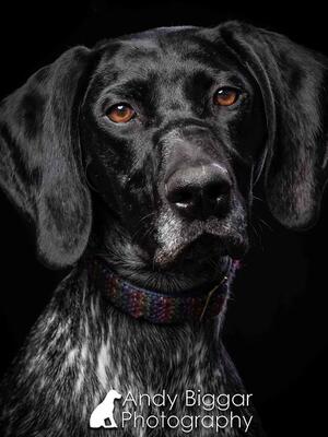 Diva Headshot