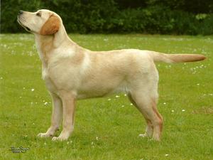 Oakhouse Oatibix at 7 months old.