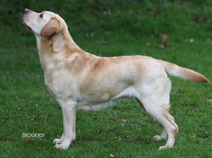 Abi at 6 Years