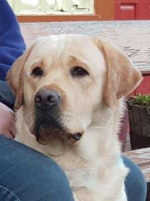 Roman at 16 months old