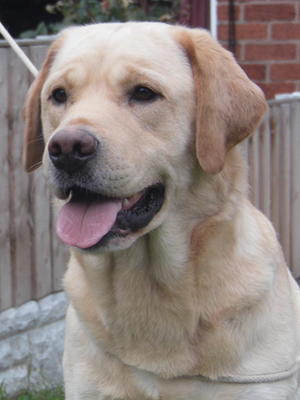 Callen at 3 1/2 years