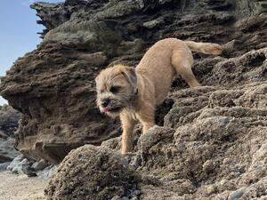 Dolly Mabel’s daughter