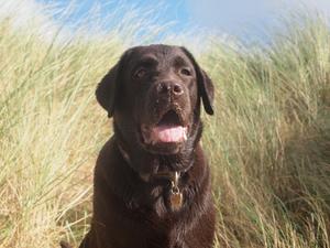 'Gracie' MENADUE Keep Dancing