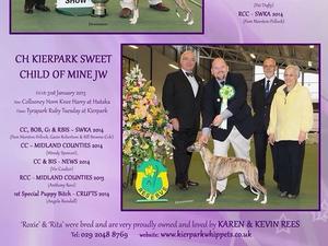 Winning RBIS at SWCA Champ show