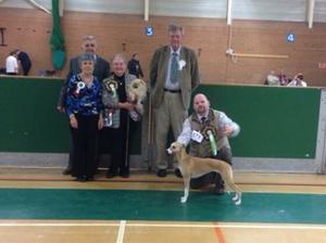 Winning Best a Puppy in Show