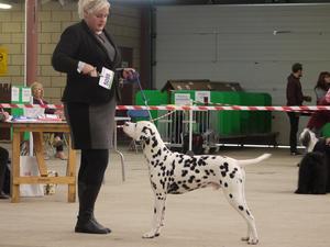 Chaucer winning his first RCC