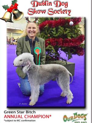 Showing in Dublin December 18