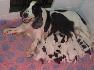 Mum and Babies