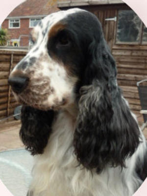 Archie - My Special Boy!