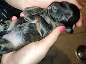 1 stunning girl unexpectedly available.
