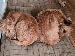 Edna & Nellie