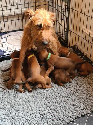 Super Mum