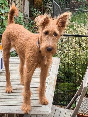 Edna at 6 months