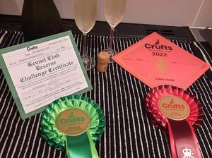 RCC Crufts 2022
