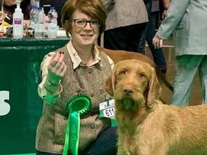 BPIB Crufts 2020