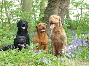 Part of the crew