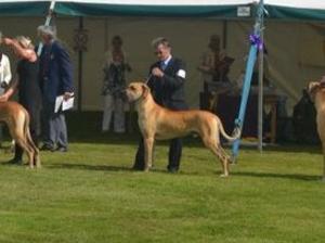 Oakley in final line up