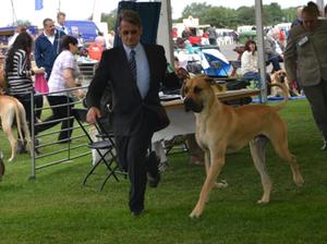 Oakley running with Mick