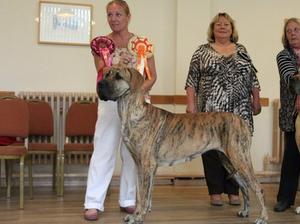 Charley - BEST IN SHOW