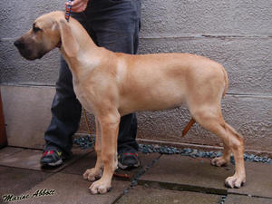 Just learning the ropes