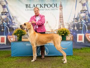 Radley at Blackpool