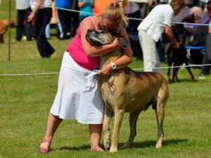 Big hugs for my winner
