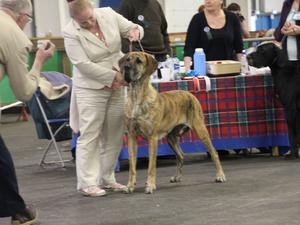 Giving it all for the judge