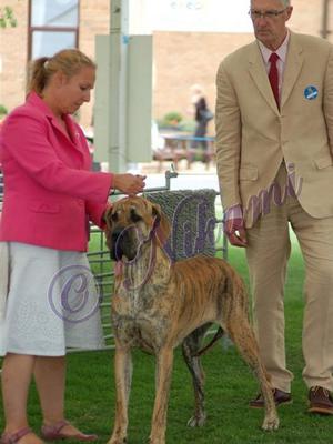 Charley with Judge - final line up