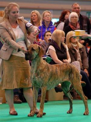 Charley CRUFTS 2012