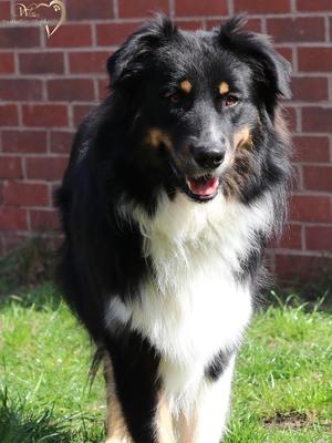 Razkiah The Mad Hatter