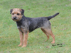 Byrewick valentine at 3 years old
