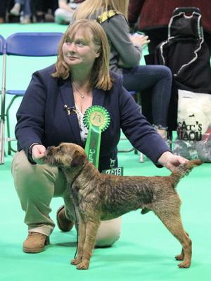 ChStowthorney Wicker Man JW Crufts RCC Crufts 2020