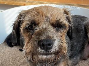 KINLOCHRWE GLEN'S WANDERER