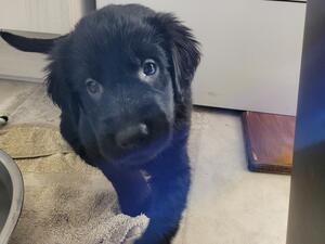 Cuteness overload