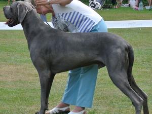 Tex