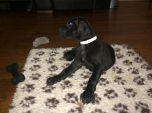 9 weeks