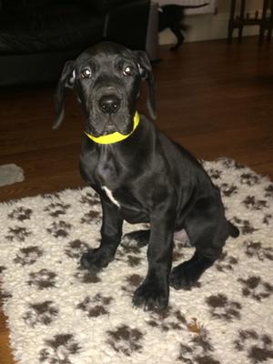 9 weeks