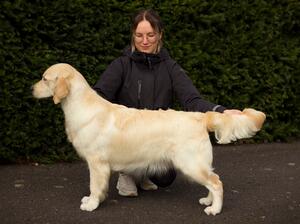 Bramble at 10 months