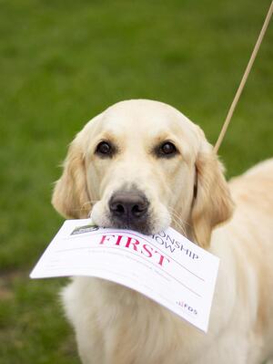 Bramble at Three Counties champ show June 24